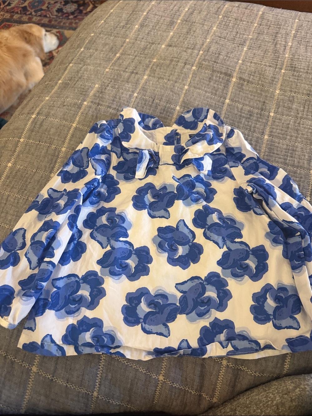 Janie and Jack Girls' White Top with Blue Floral Print and Ruffle Collar